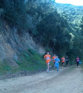 IMG-20151212-WA0025 2ª foto de la meseta 1ª jornada campo traves 12-12-2015